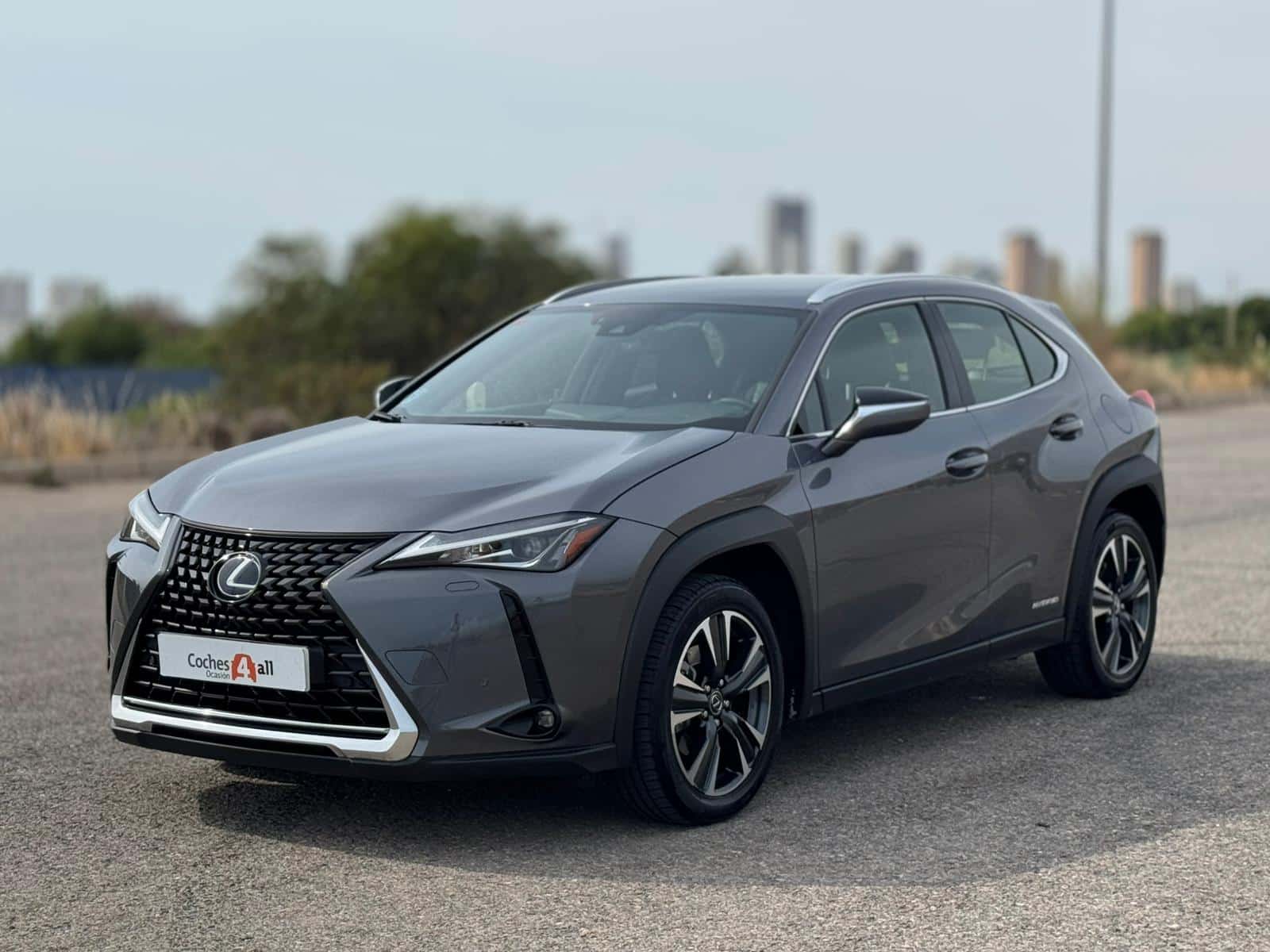 LEXUS UX 250 HYBRID 185CV BUSINESS